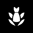 Menayari_ico